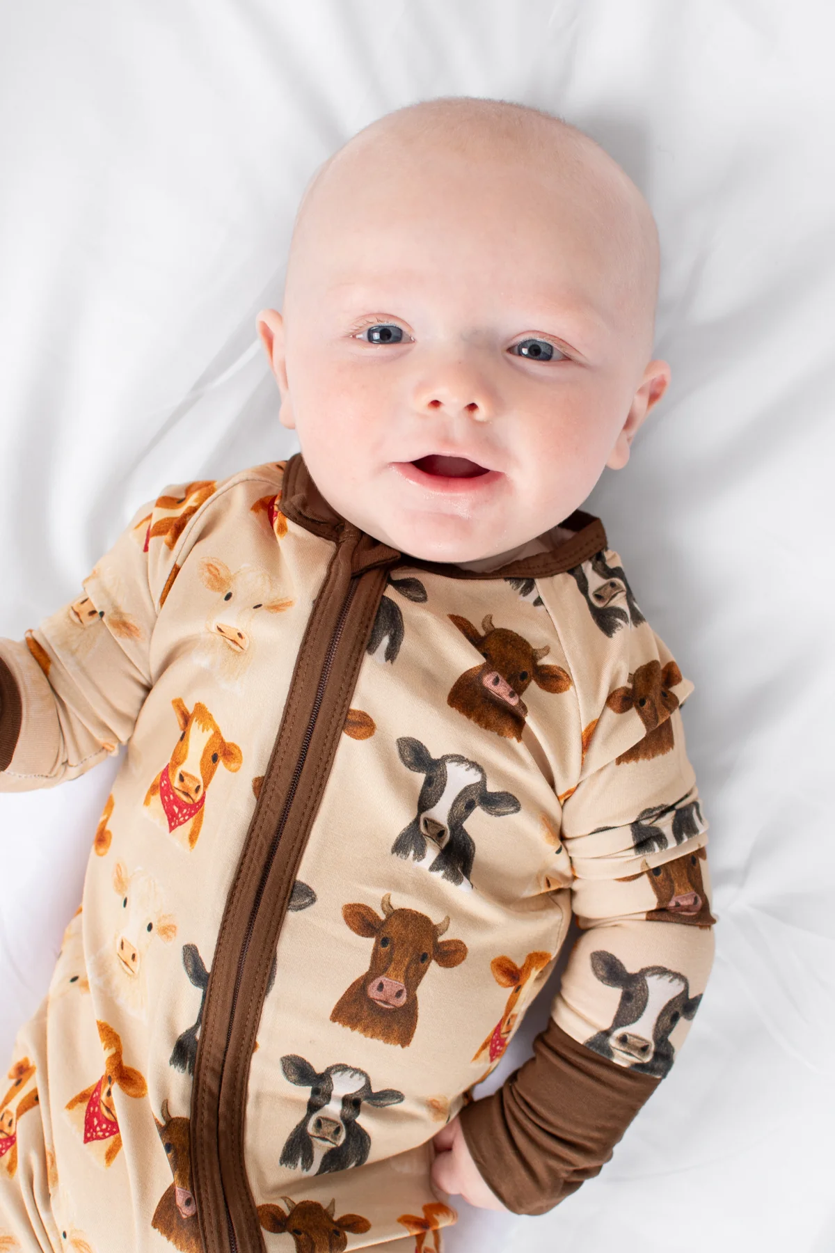 Cute Cows Baby Bamboo Zippy - Image 8