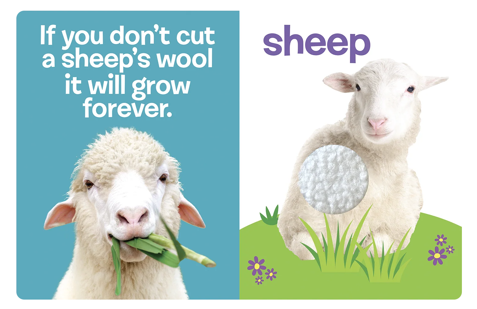 Farm Animals: A Touch and Feel Book - Image 2