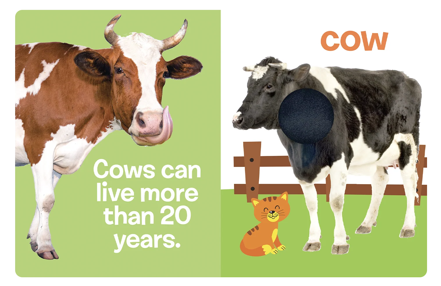 Farm Animals: A Touch and Feel Book - Image 5