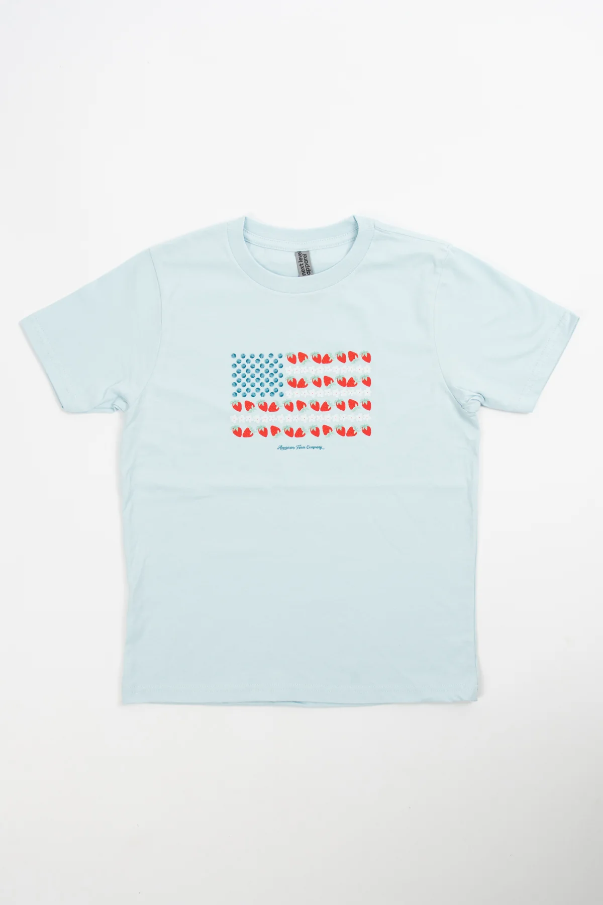 Fruit Flag Toddler/Youth Light Blue Tee - Image 3