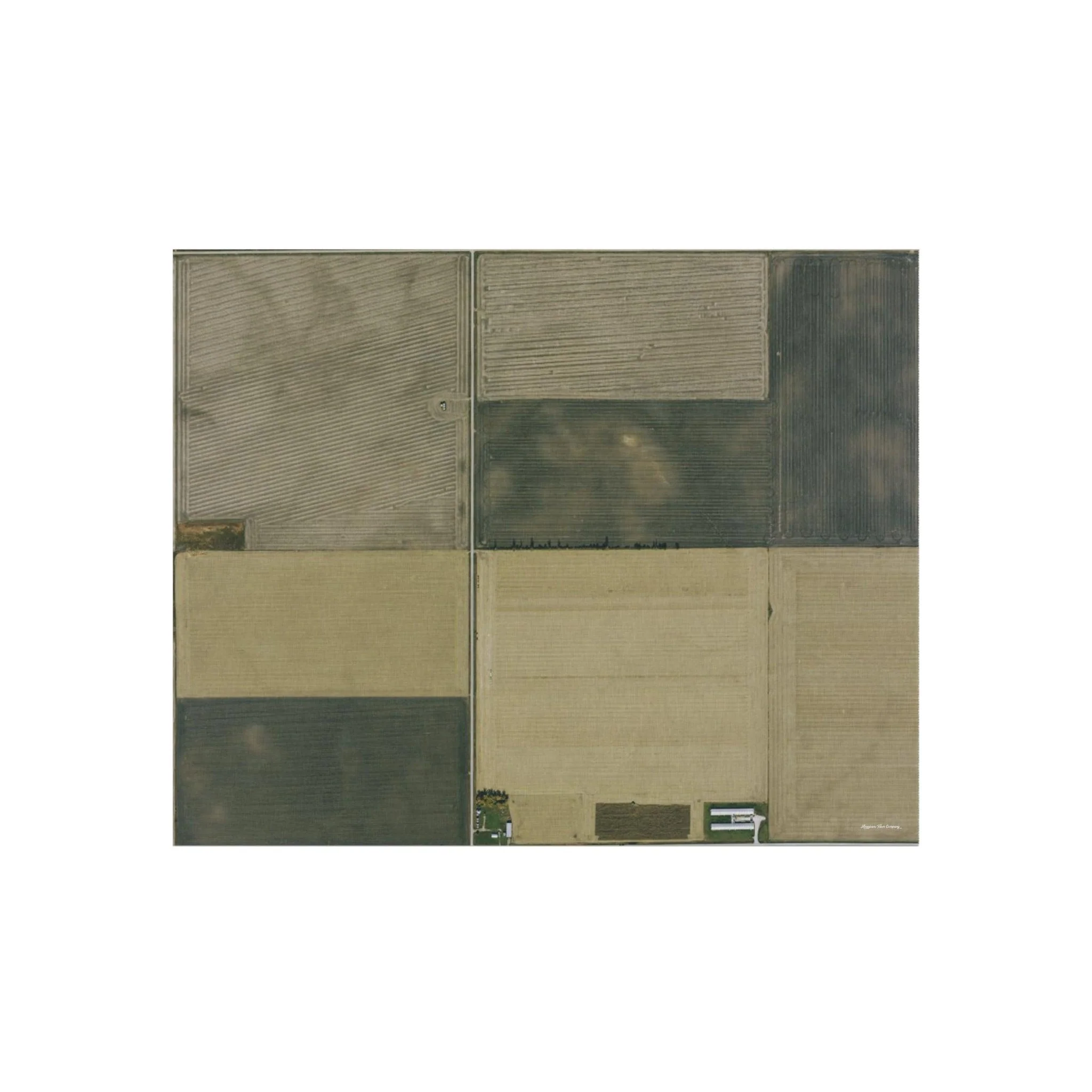 Harvest Time Play Rug - Image 4