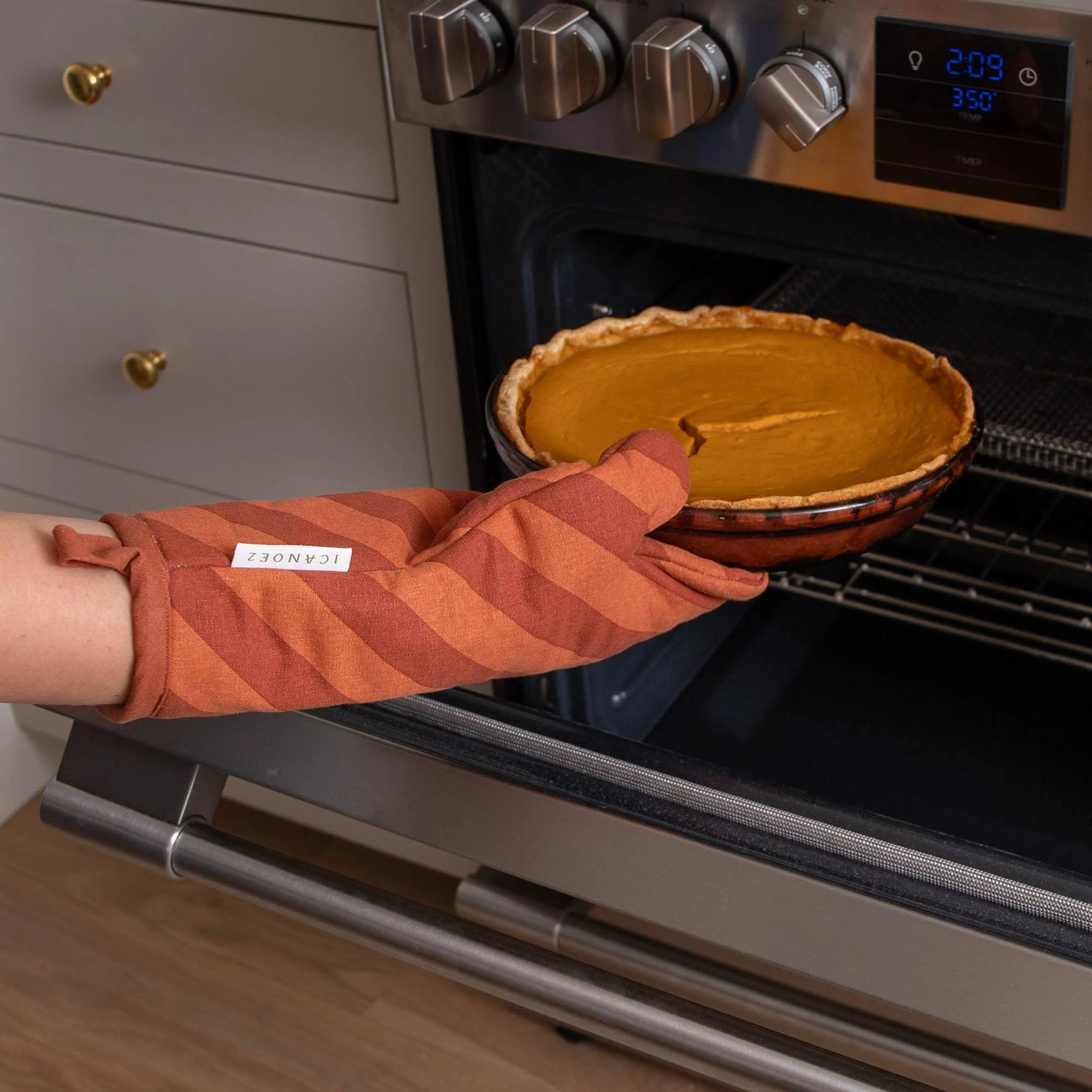 Pie Oven Mitt & Pot Holder - Image 3