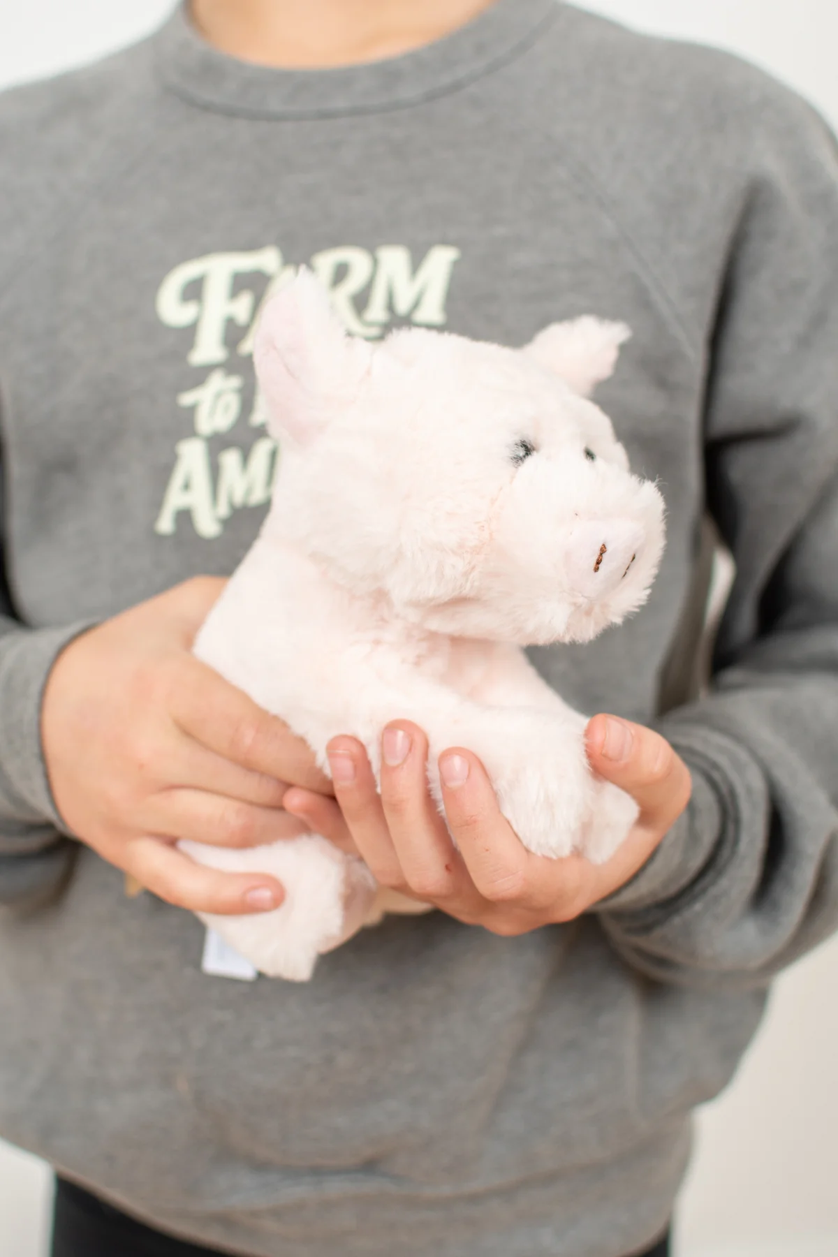 Pig Stuffed Animal Plush - 6" - Image 5